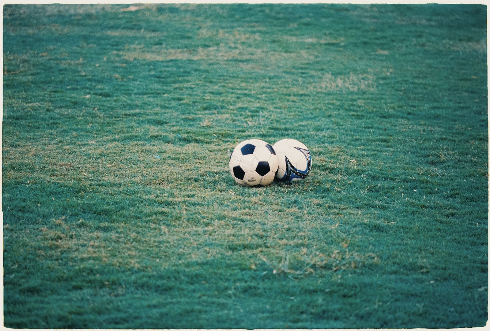 Several soccer balls arranged on a grass field