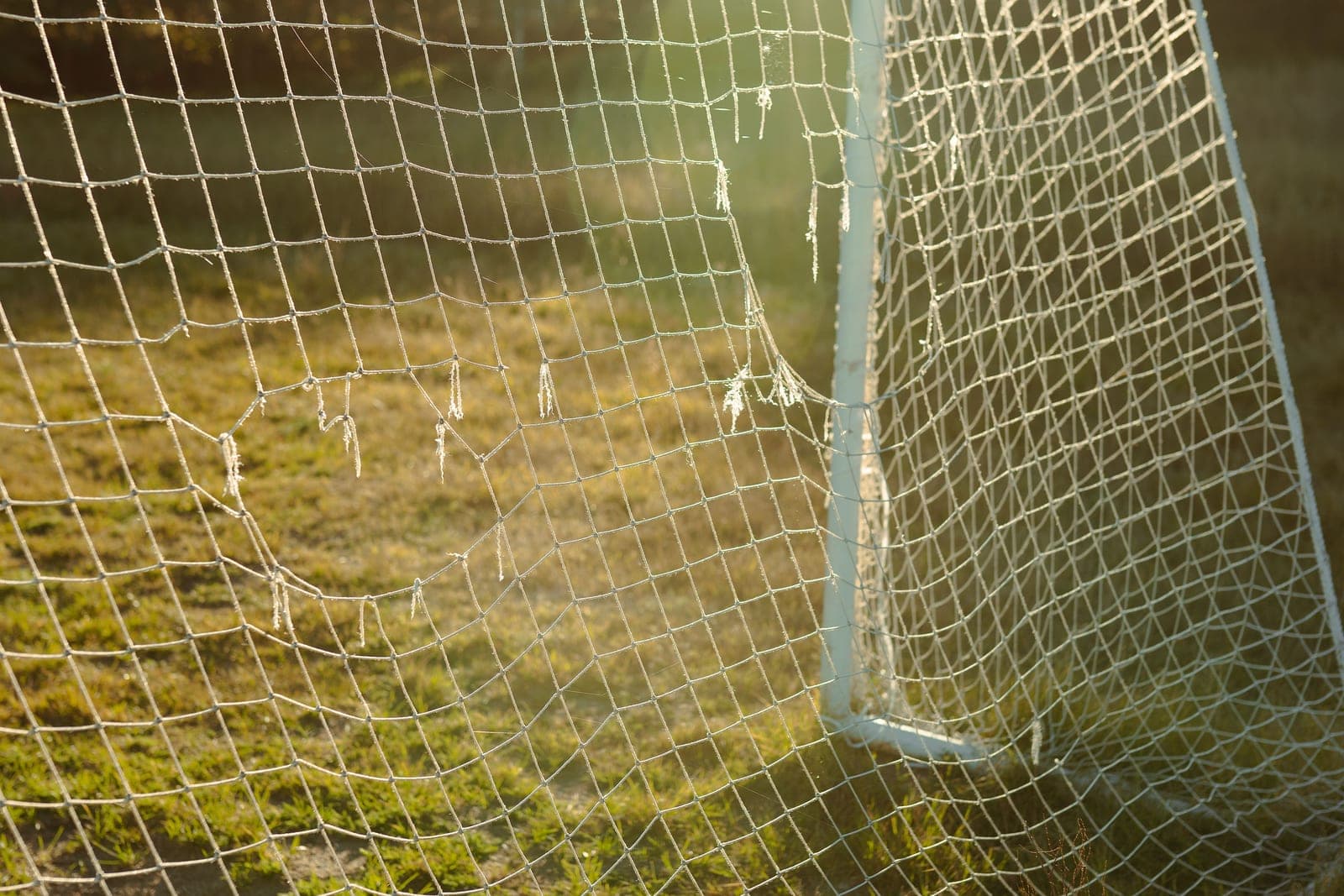 A soccer goal net set up on grass in a backyard